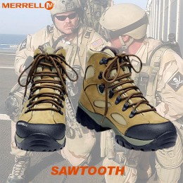 merreii_sawtooth01