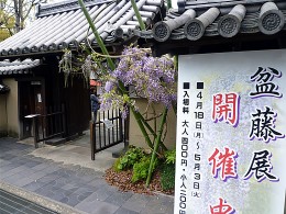 釜飯食って依水園を散歩…
