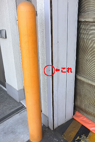 ミノムシ発見！