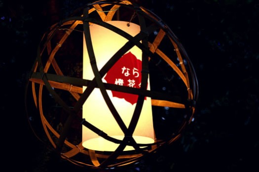 なら”燈花会”2012
